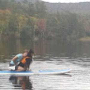 Meet your Posher, Ann